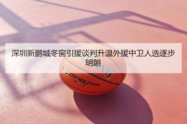 深圳新鹏城冬窗引援谈判升温外援中卫人选逐步明朗